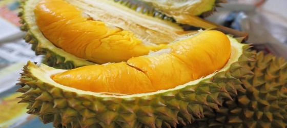 عکس Durian